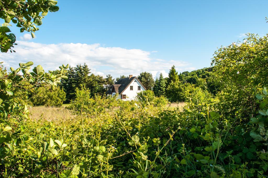 Dat Witte Hus Moritzdorf Ruegen Ferienwohnungen - Ruhige Lage المظهر الخارجي الصورة